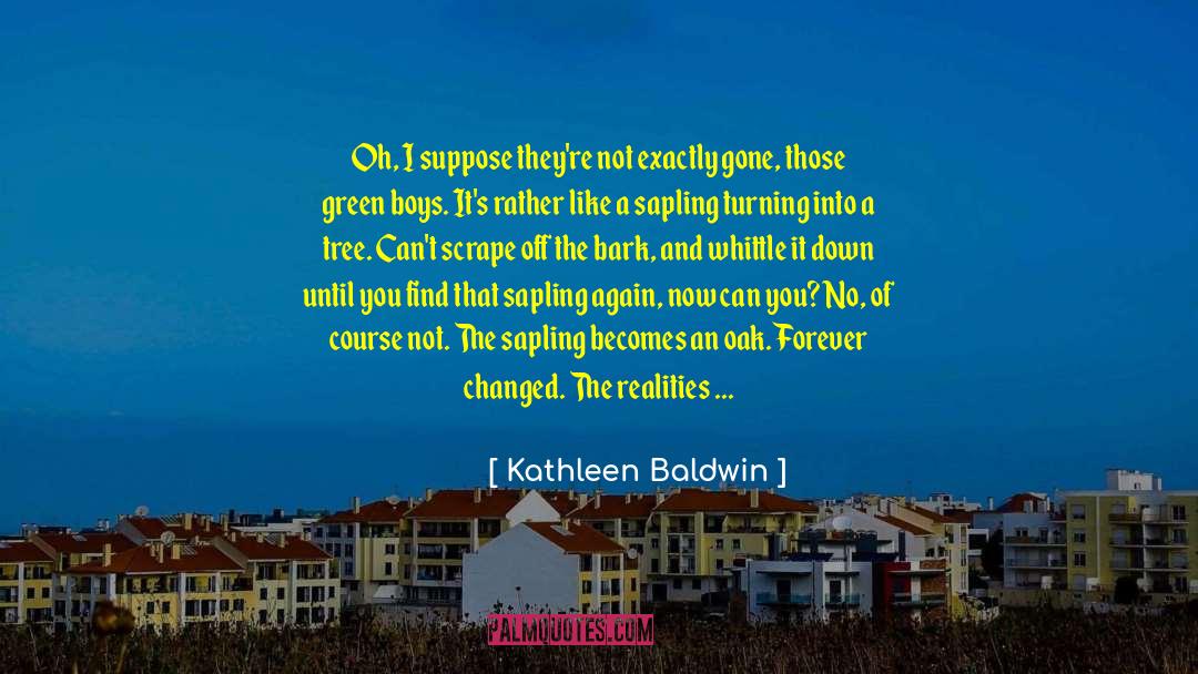 Kathleen Baldwin Quotes: Oh, I suppose they're not