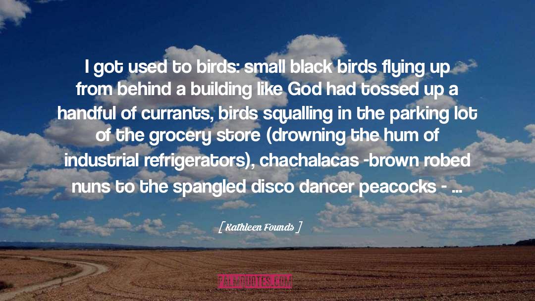 Kathleen Founds Quotes: I got used to birds: