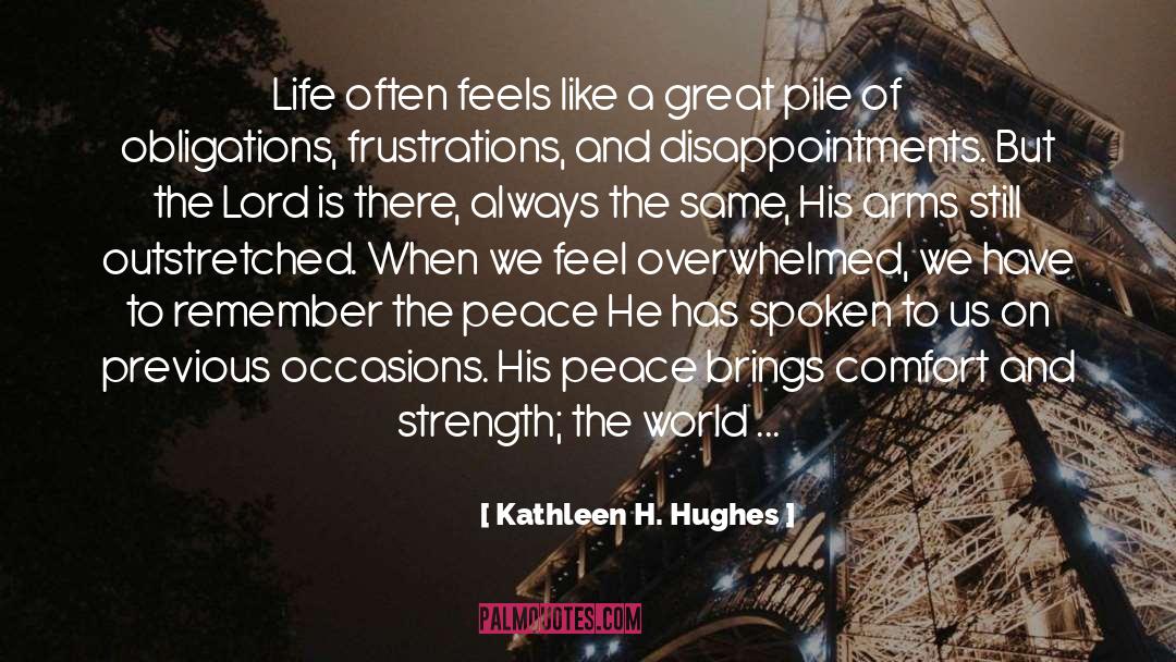 Kathleen H. Hughes Quotes: Life often feels like a