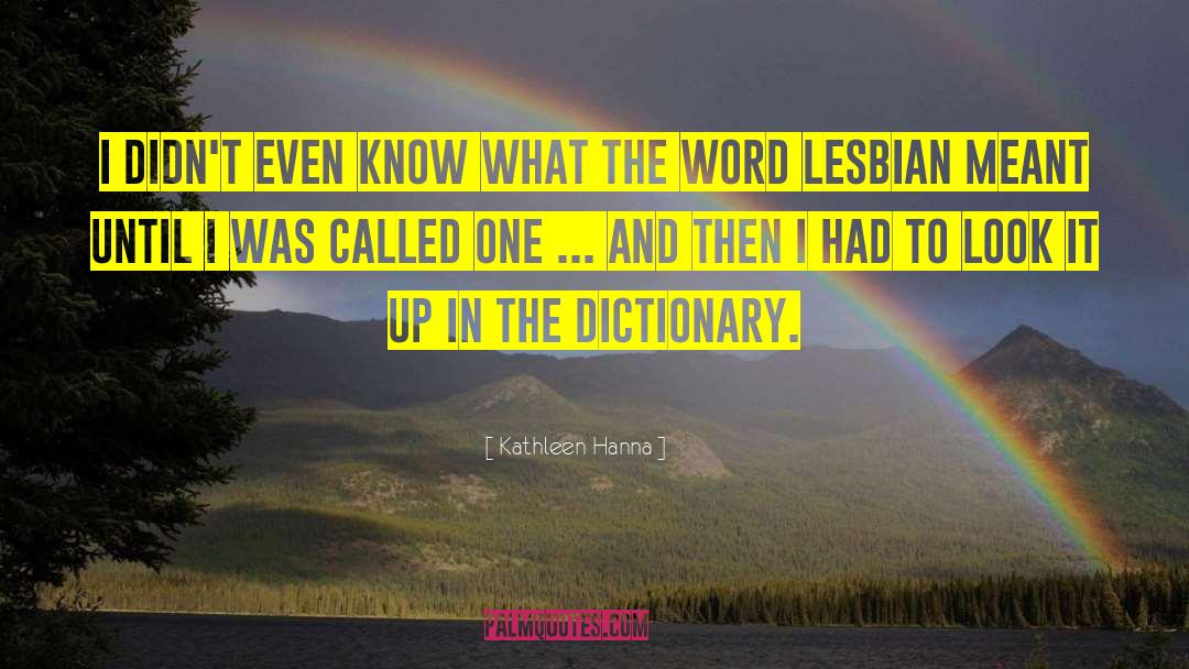 Kathleen Hanna Quotes: I didn't even know what