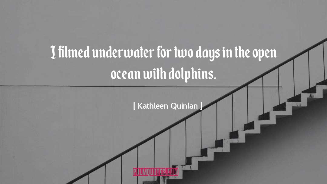 Kathleen Quinlan Quotes: I filmed underwater for two