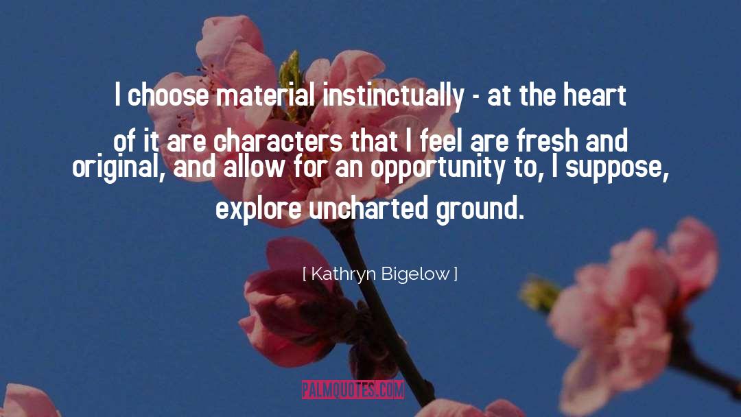 Kathryn Bigelow Quotes: I choose material instinctually -