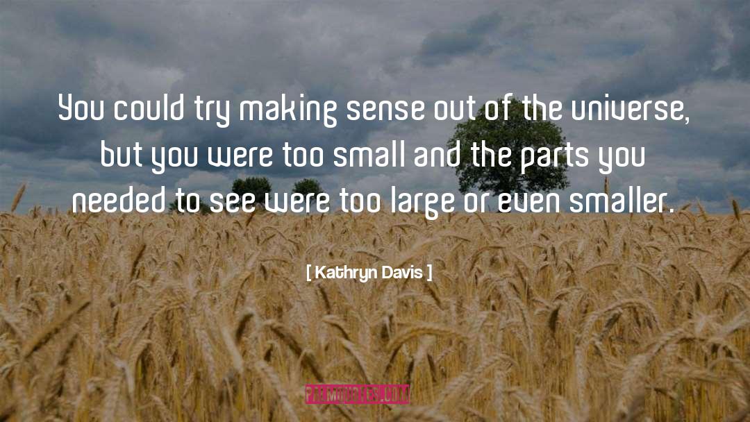 Kathryn Davis Quotes: You could try making sense