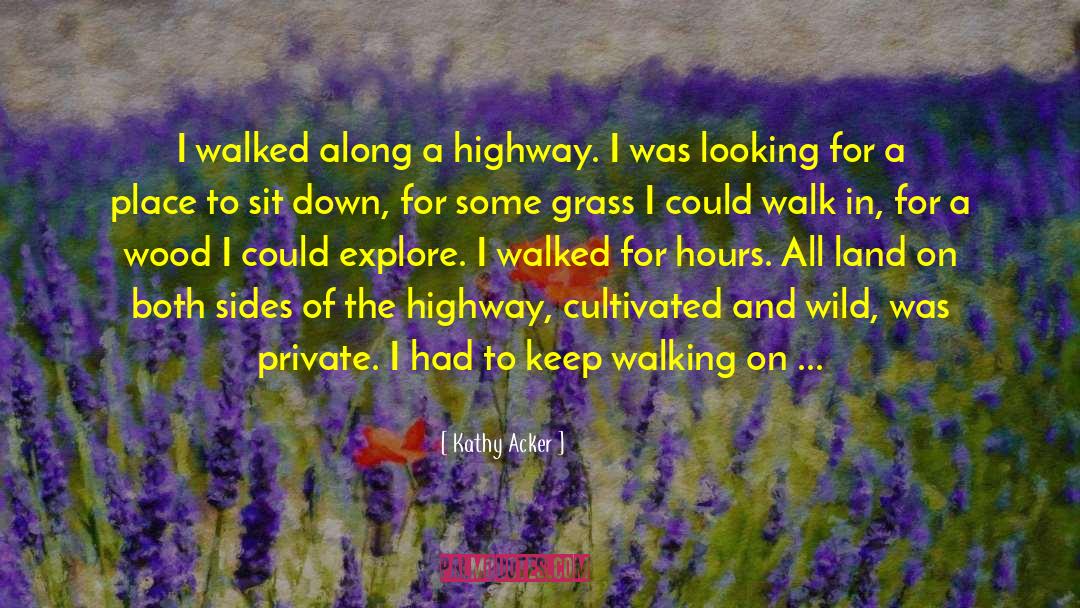 Kathy Acker Quotes: I walked along a highway.