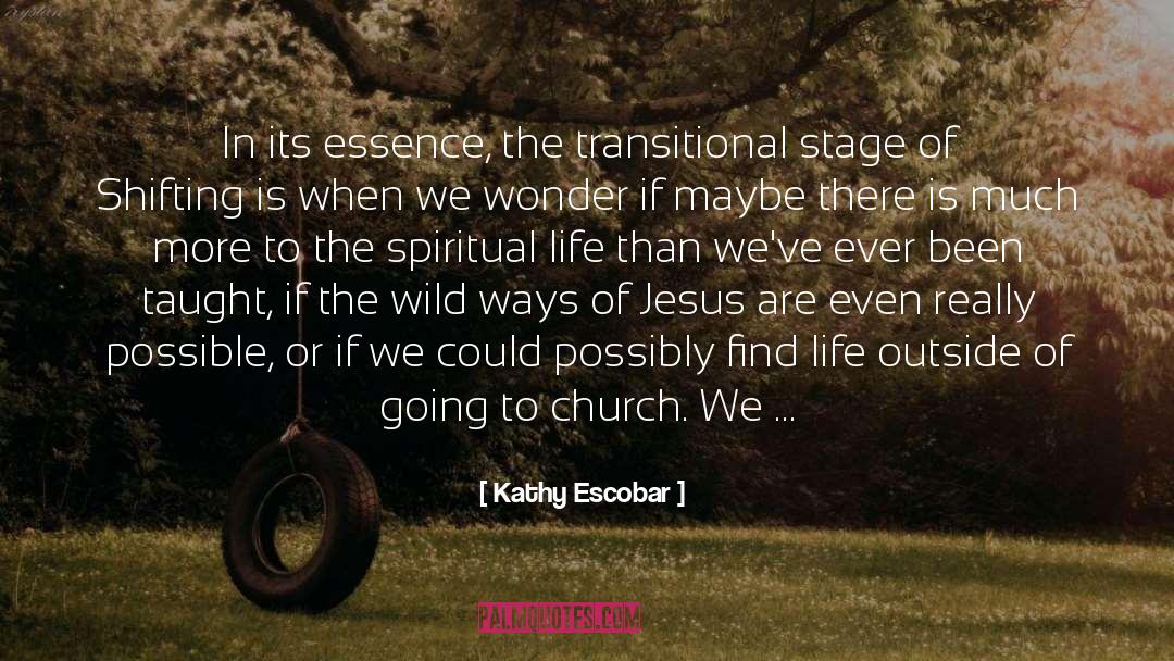 Kathy Escobar Quotes: In its essence, the transitional