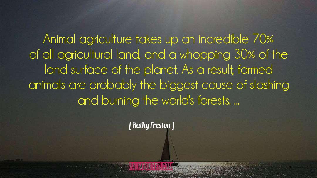 Kathy Freston Quotes: Animal agriculture takes up an