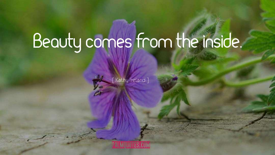 Kathy Ireland Quotes: Beauty comes from the inside.