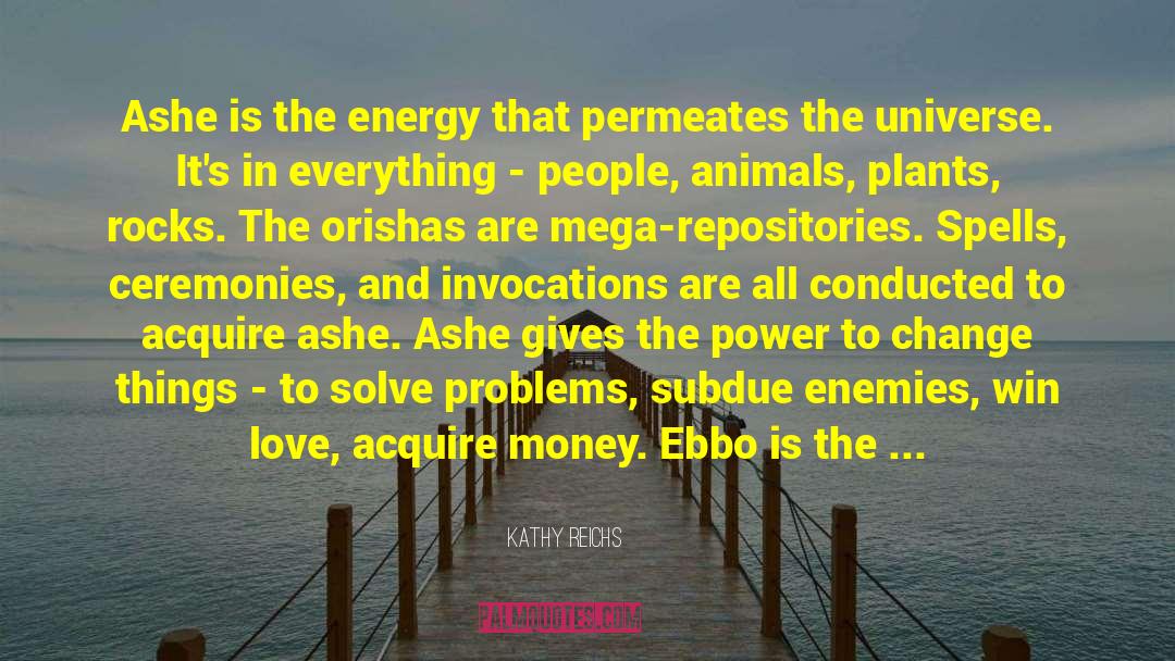 Kathy Reichs Quotes: Ashe is the energy that