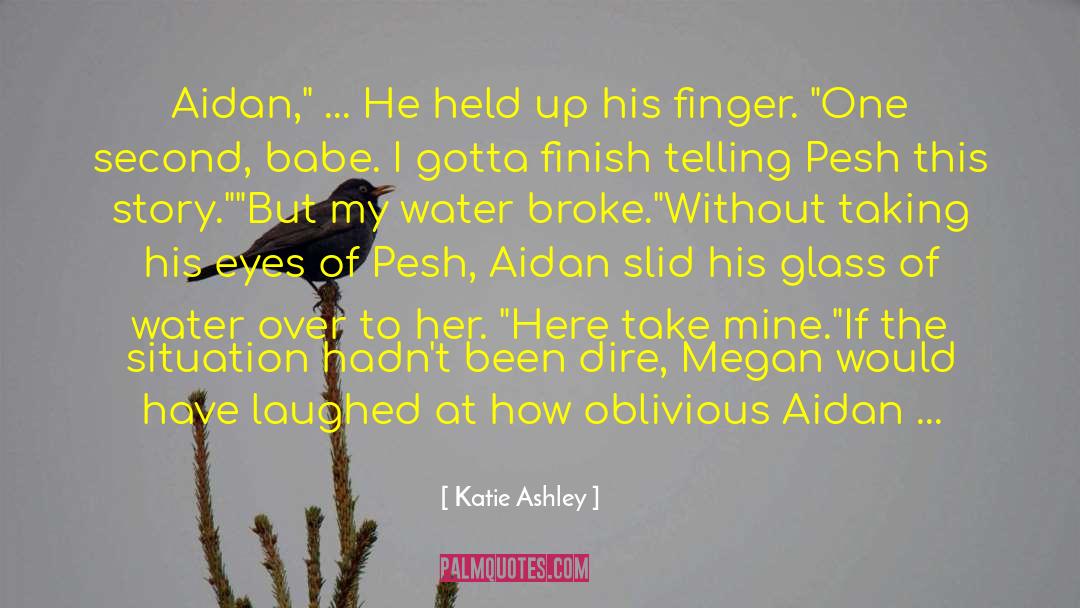 Katie Ashley Quotes: Aidan,