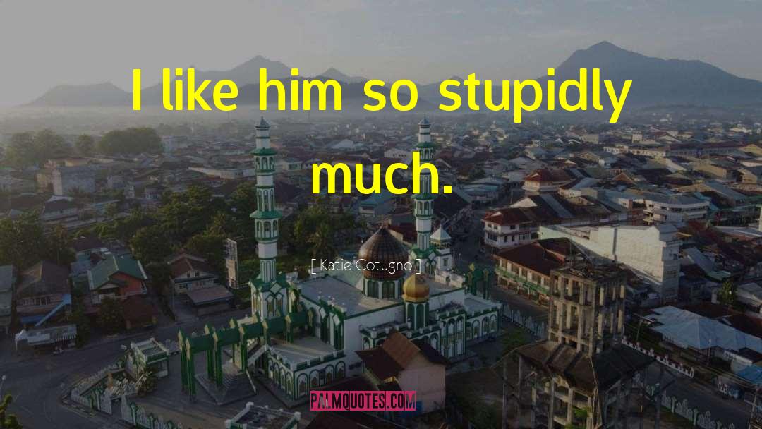 Katie Cotugno Quotes: I like him so stupidly