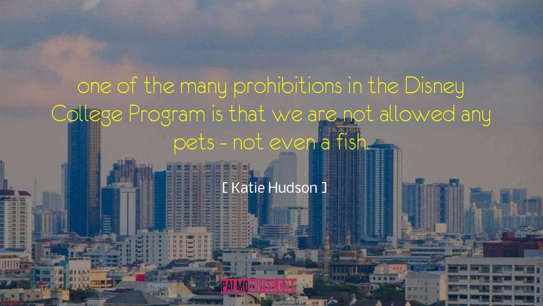 Katie Hudson Quotes: one of the many prohibitions