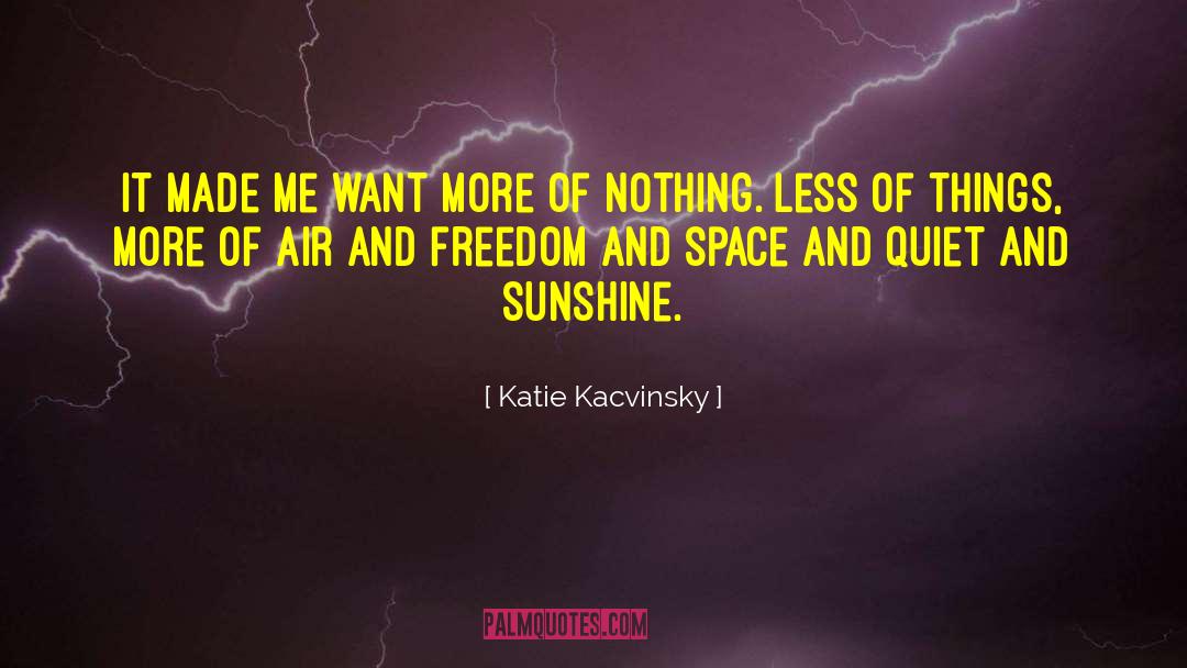 Katie Kacvinsky Quotes: It made me want more