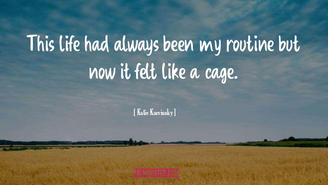 Katie Kacvinsky Quotes: This life had always been