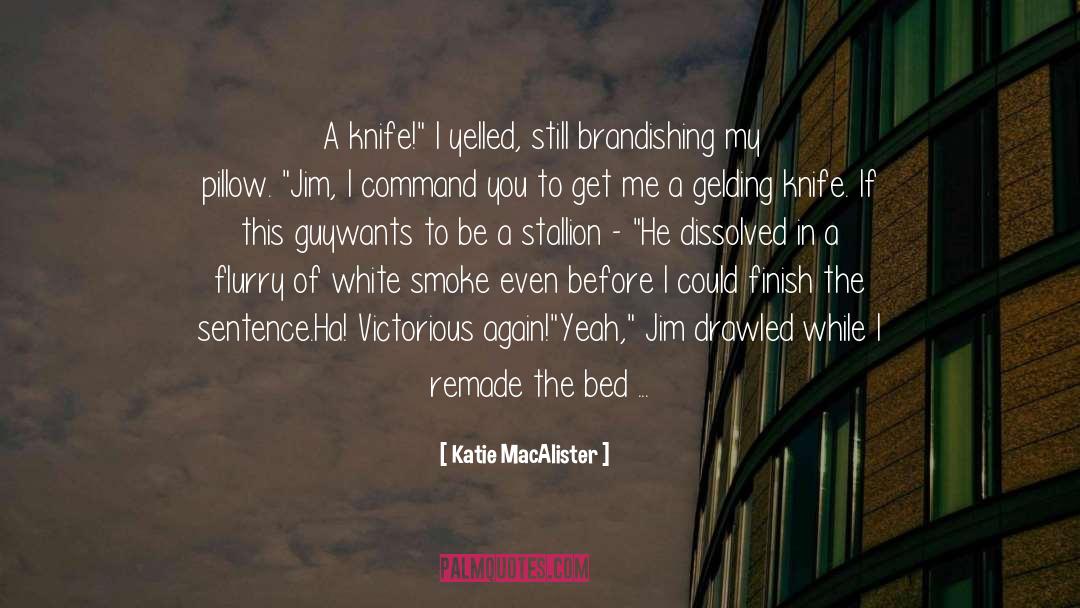 Katie MacAlister Quotes: A knife!