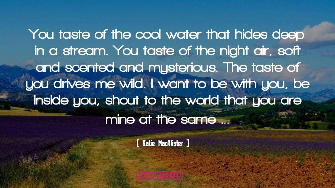 Katie MacAlister Quotes: You taste of the cool