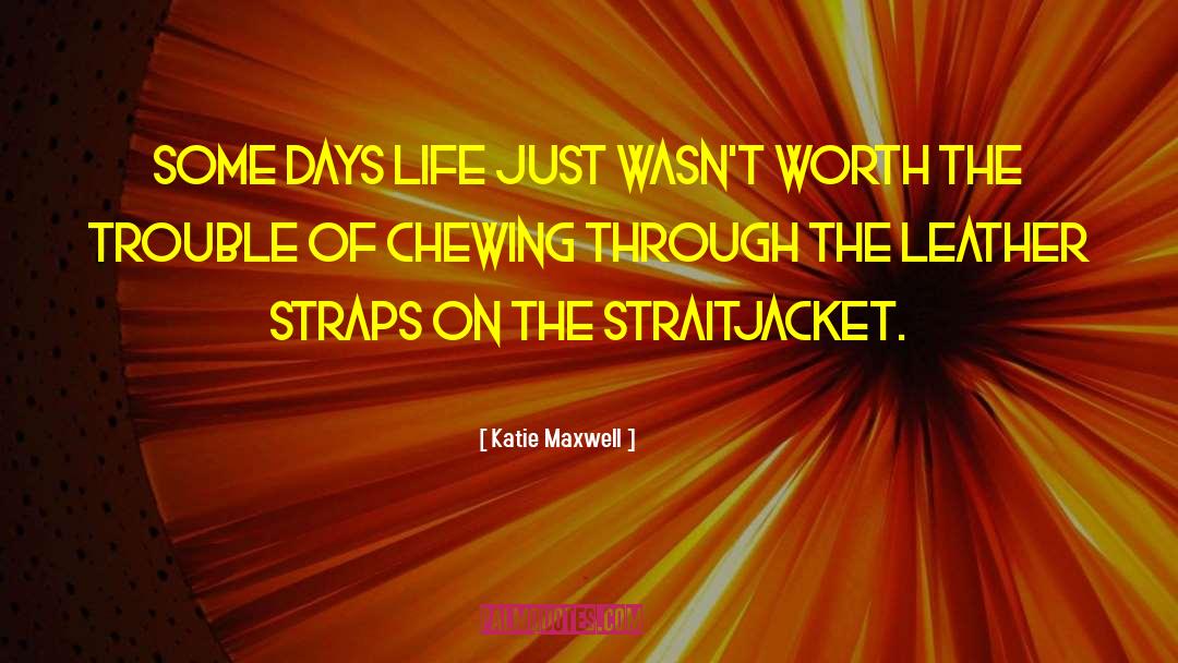 Katie Maxwell Quotes: Some days life just wasn't