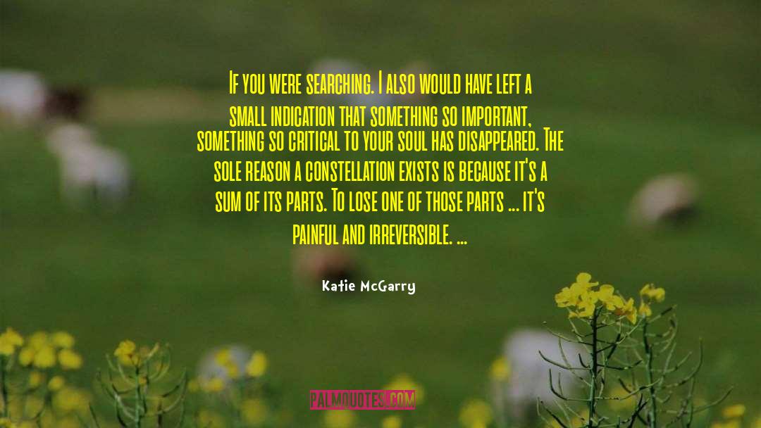 Katie McGarry Quotes: If you were searching. I