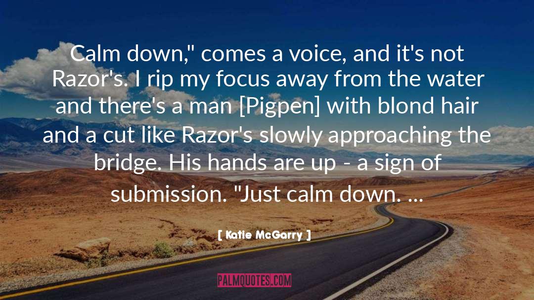 Katie McGarry Quotes: Calm down,