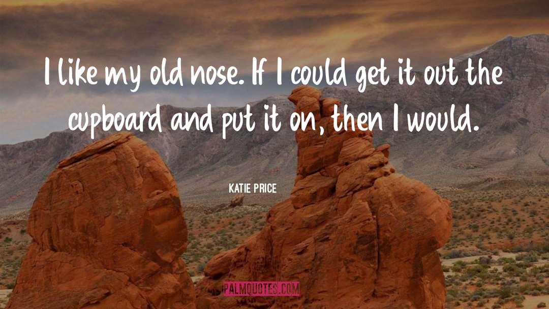 Katie Price Quotes: I like my old nose.