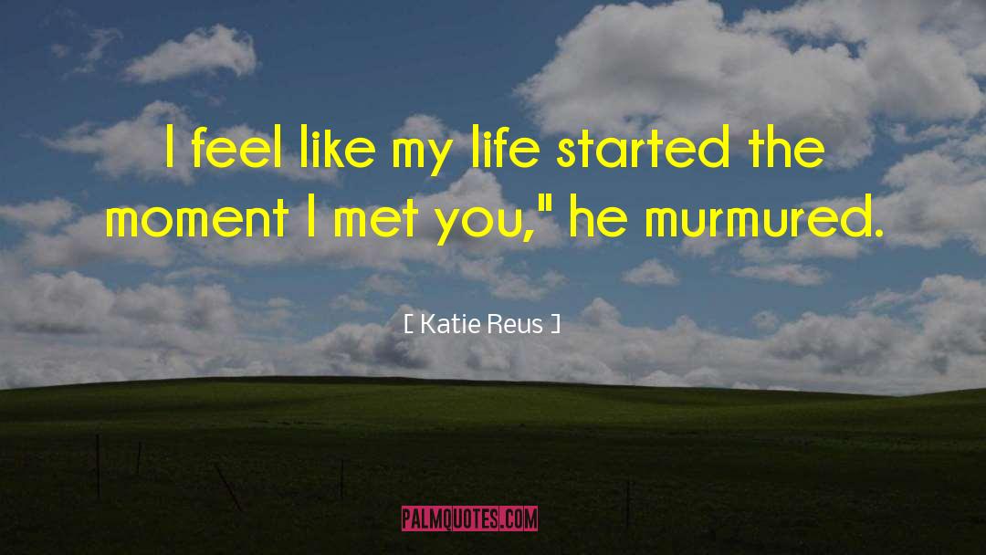 Katie Reus Quotes: I feel like my life