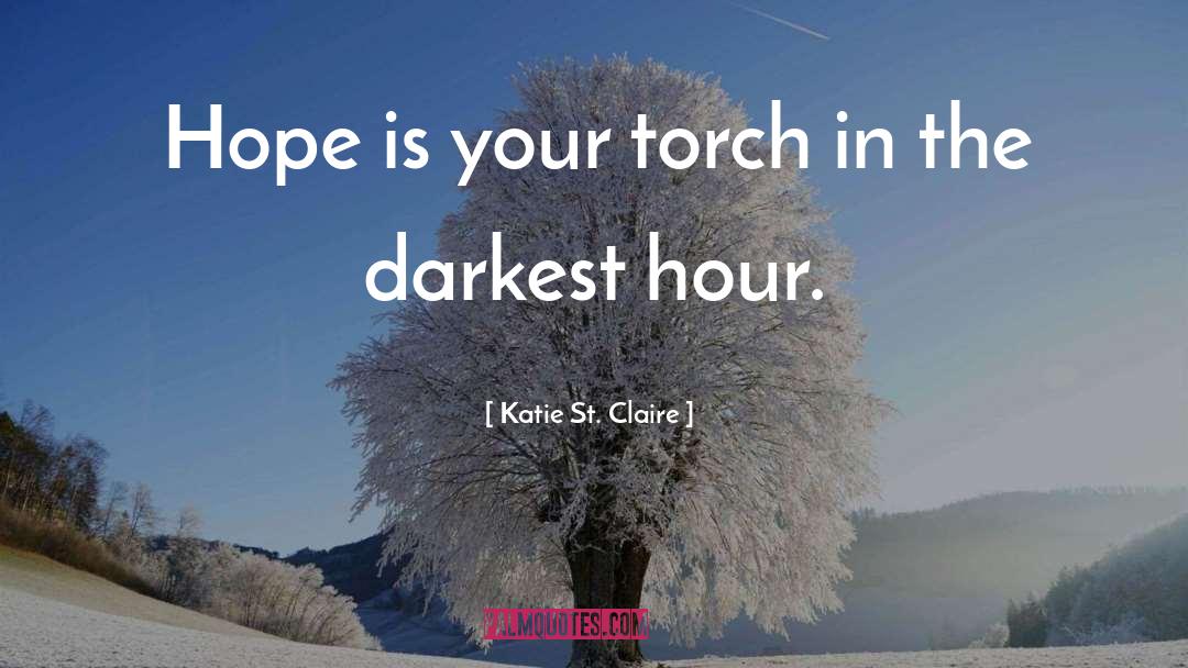 Katie St. Claire Quotes: Hope is your torch in