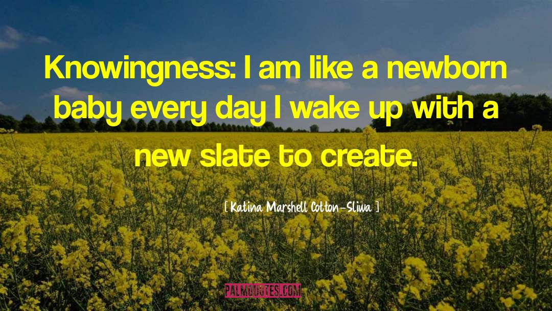 Katina Marshell Cotton-Sliwa Quotes: Knowingness: I am like a