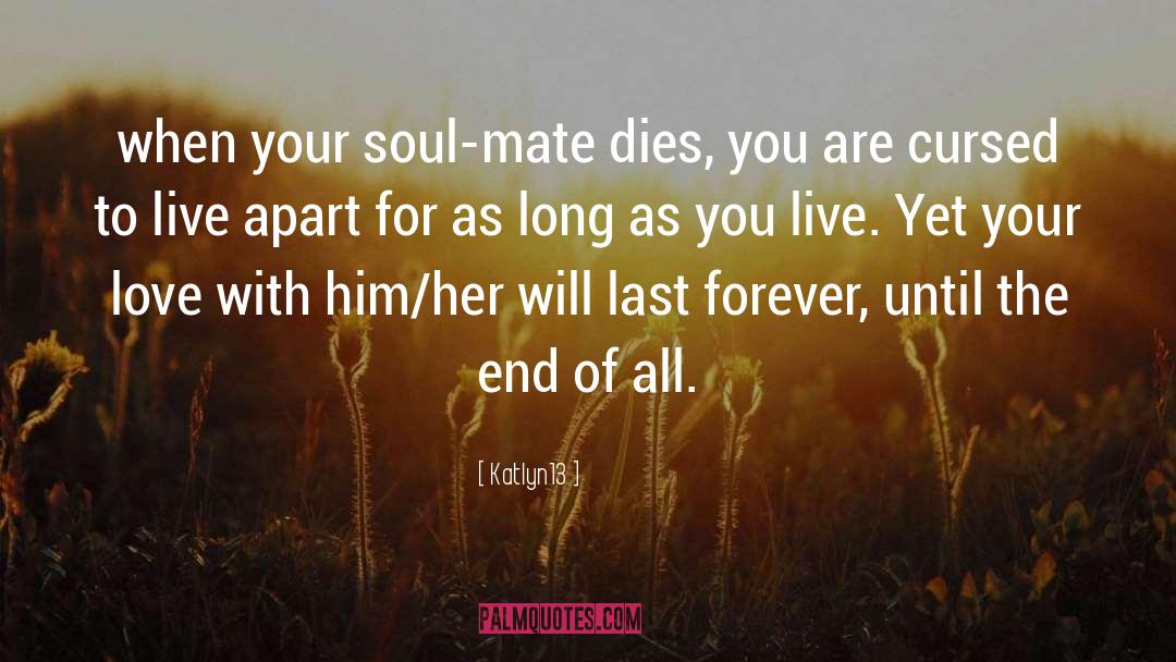 Katlyn13 Quotes: when your soul-mate dies, you