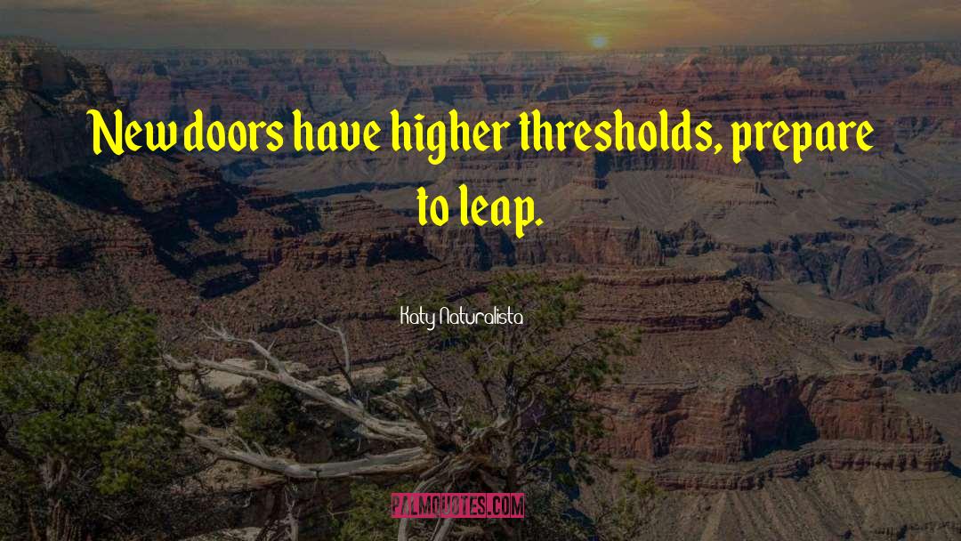 Katy Naturalista Quotes: New doors have higher thresholds,