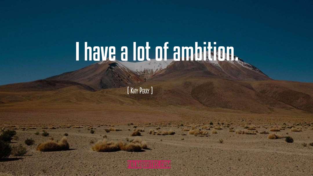 Katy Perry Quotes: I have a lot of