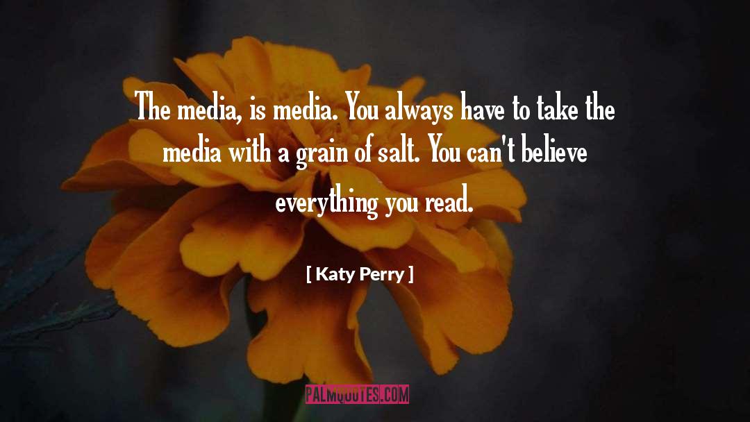 Katy Perry Quotes: The media, is media. You