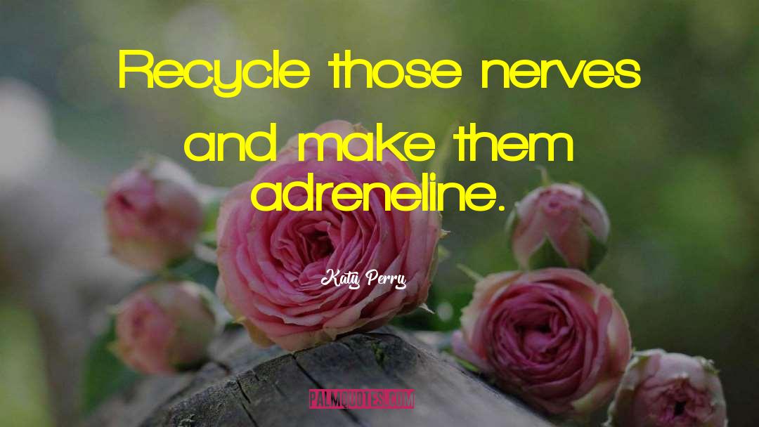 Katy Perry Quotes: Recycle those nerves and make