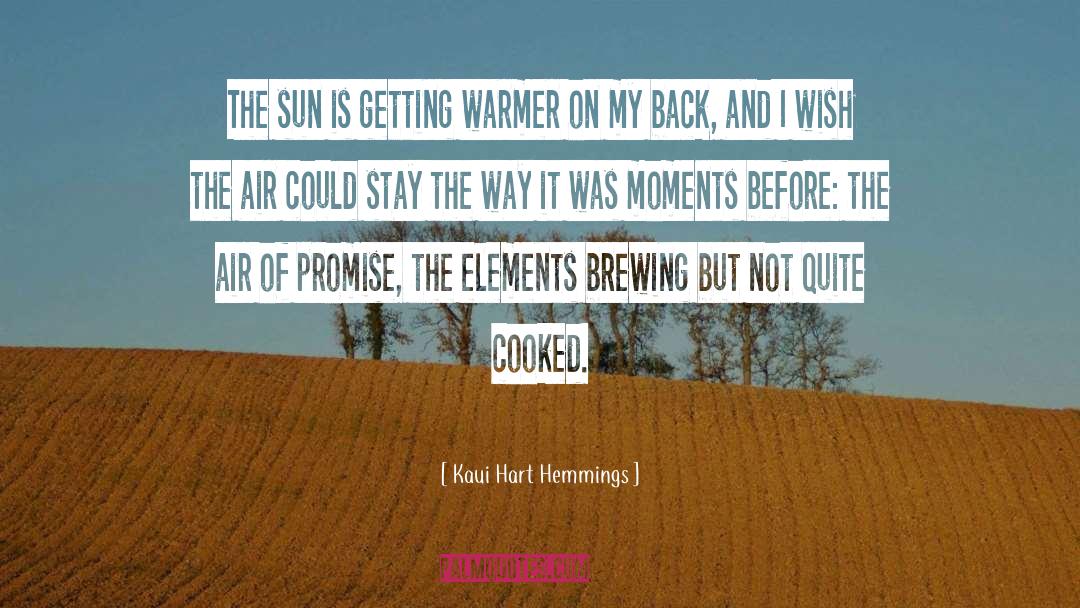 Kaui Hart Hemmings Quotes: The sun is getting warmer