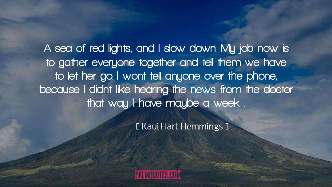 Kaui Hart Hemmings Quotes: A sea of red lights,