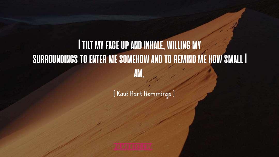 Kaui Hart Hemmings Quotes: I tilt my face up