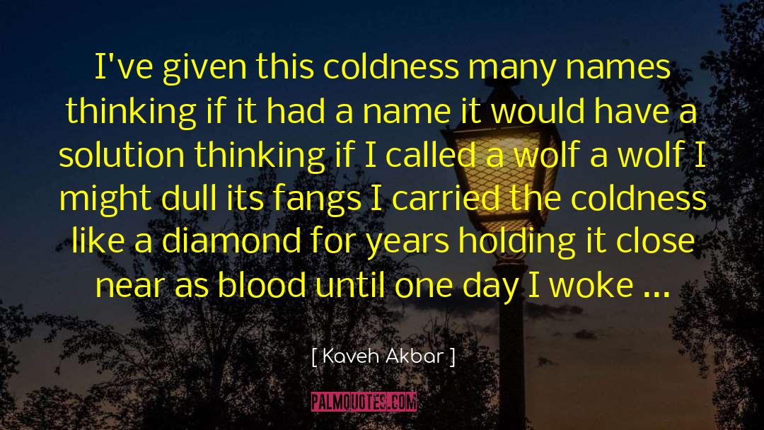 Kaveh Akbar Quotes: I've given this coldness many