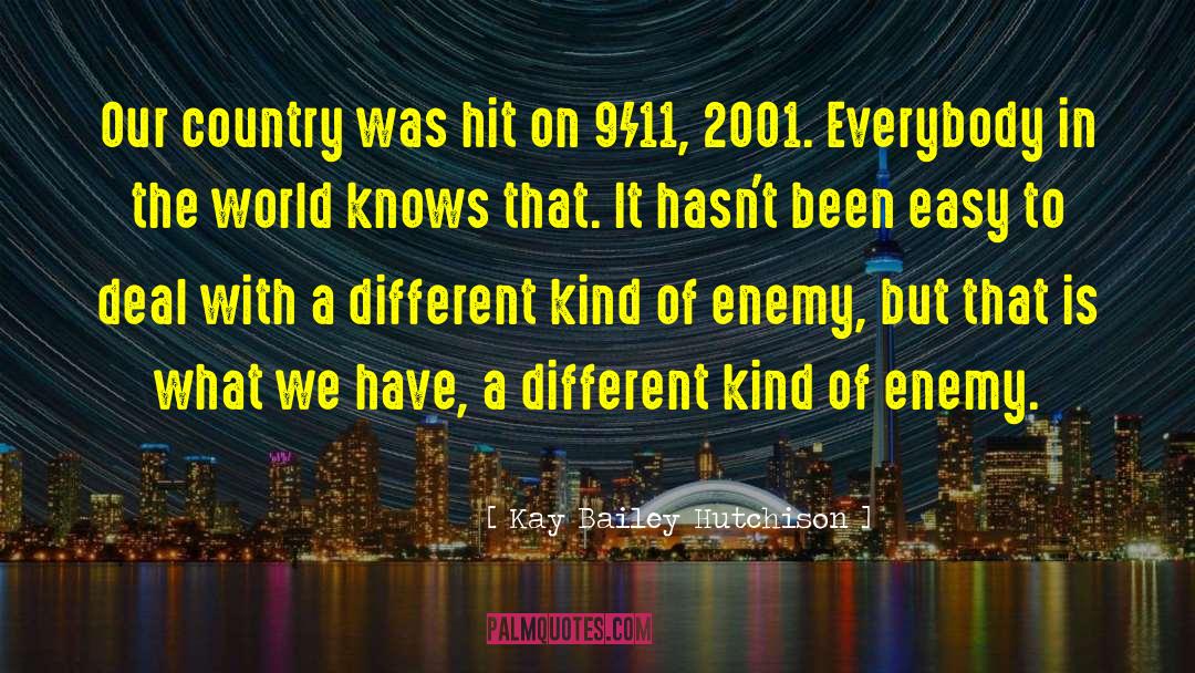 Kay Bailey Hutchison Quotes: Our country was hit on