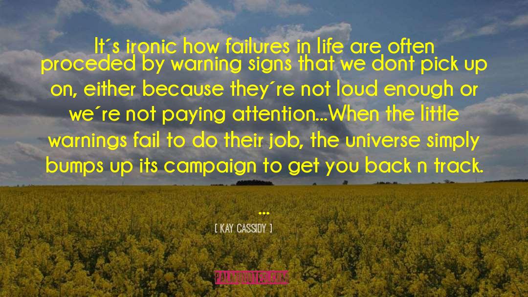 Kay Cassidy Quotes: It´s ironic how failures in