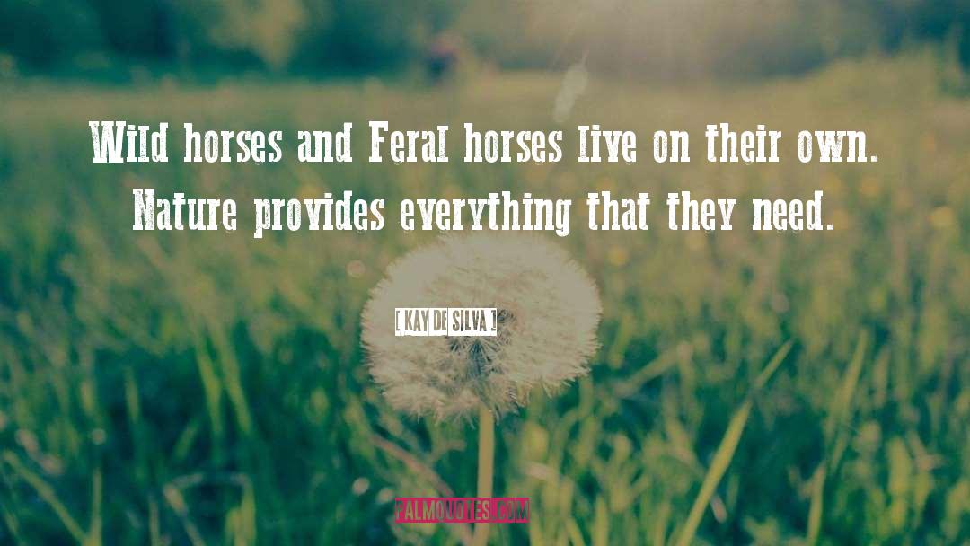 Kay De Silva Quotes: Wild horses and Feral horses