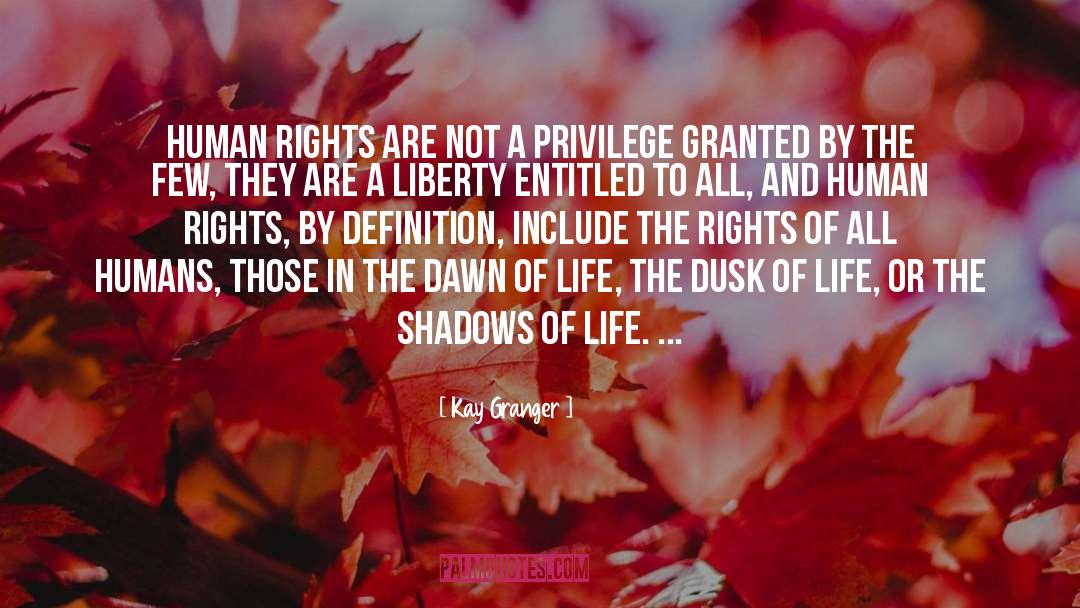 Kay Granger Quotes: Human rights are not a