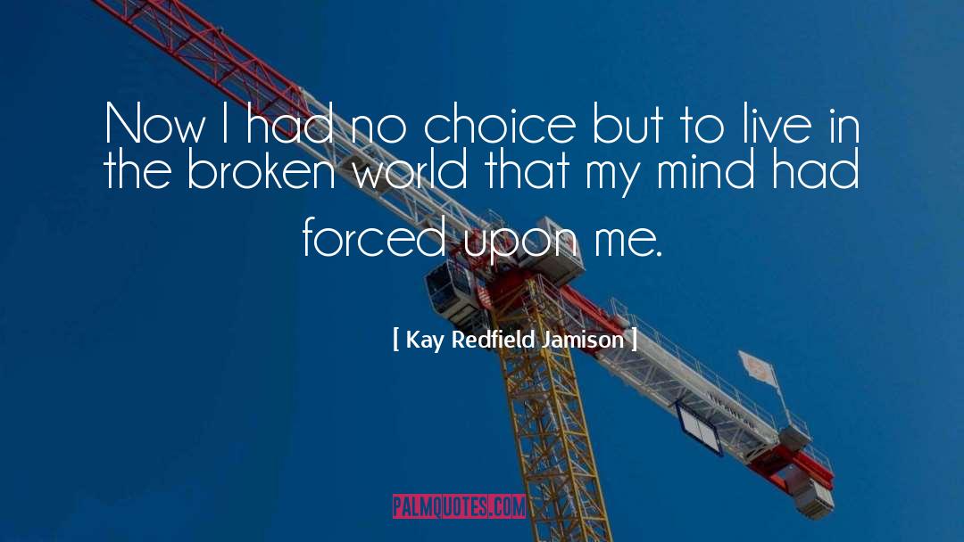 Kay Redfield Jamison Quotes: Now I had no choice