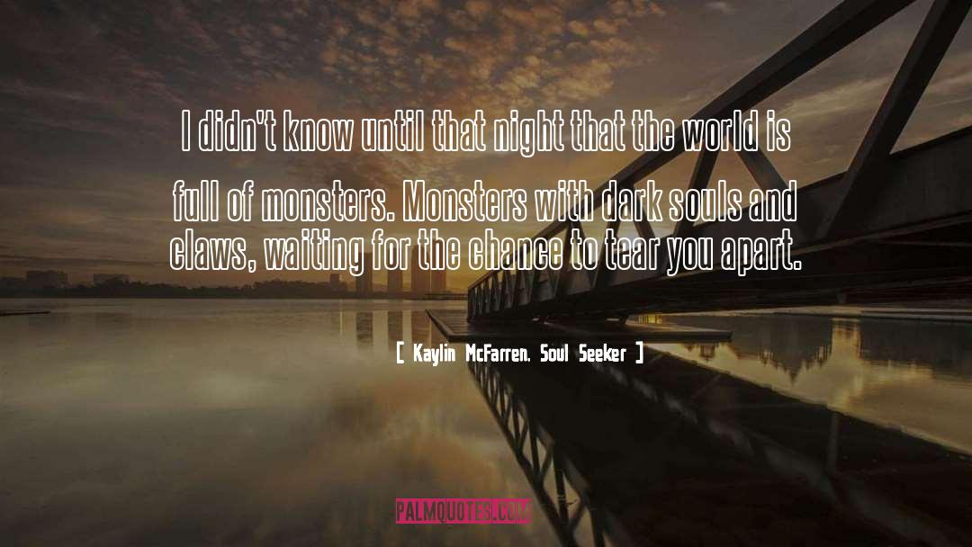 Kaylin McFarren, Soul Seeker Quotes: I didn't know until that