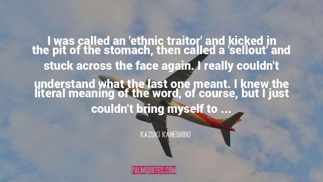 Kazuki Kaneshiro Quotes: I was called an 'ethnic