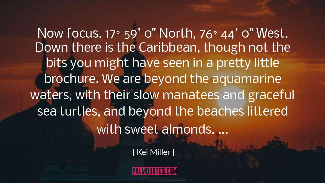 Kei Miller Quotes: Now focus. 17° 59' 0