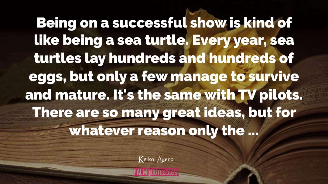 Keiko Agena Quotes: Being on a successful show