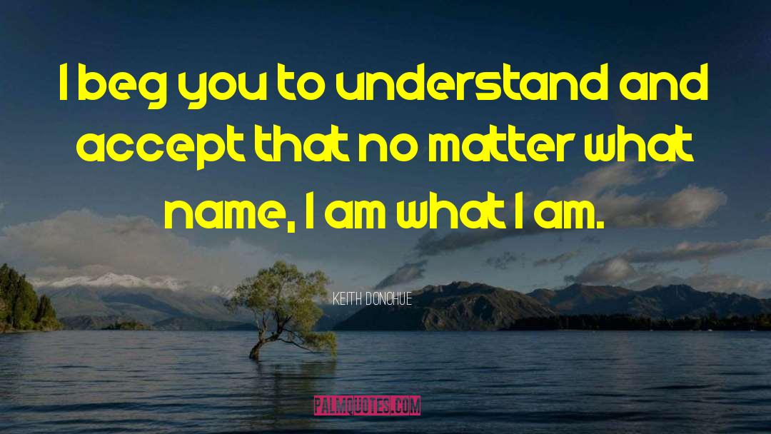 Keith Donohue Quotes: I beg you to understand