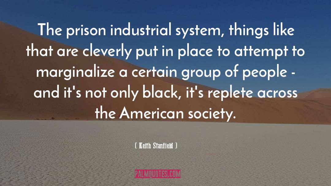 Keith Stanfield Quotes: The prison industrial system, things