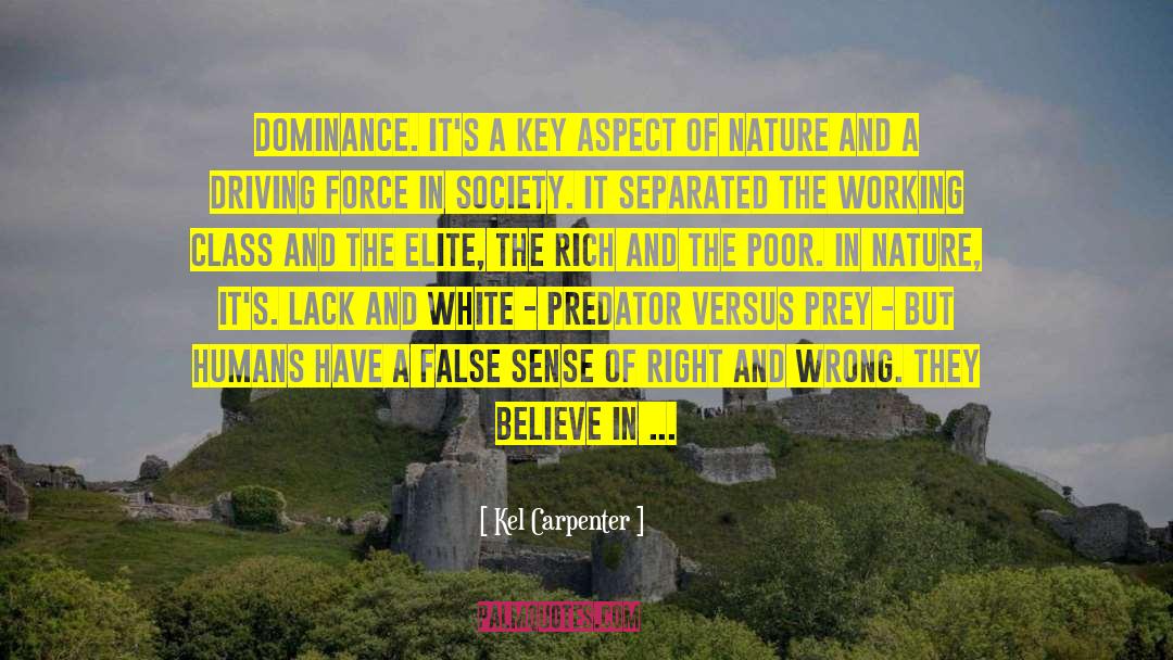 Kel Carpenter Quotes: Dominance. It's a key aspect