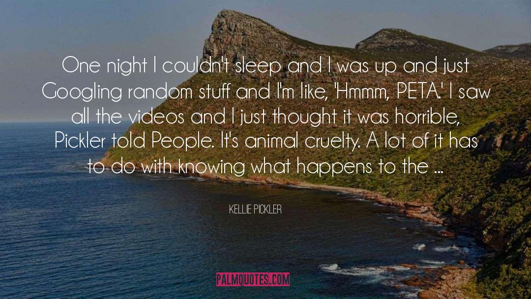 Kellie Pickler Quotes: One night I couldn't sleep