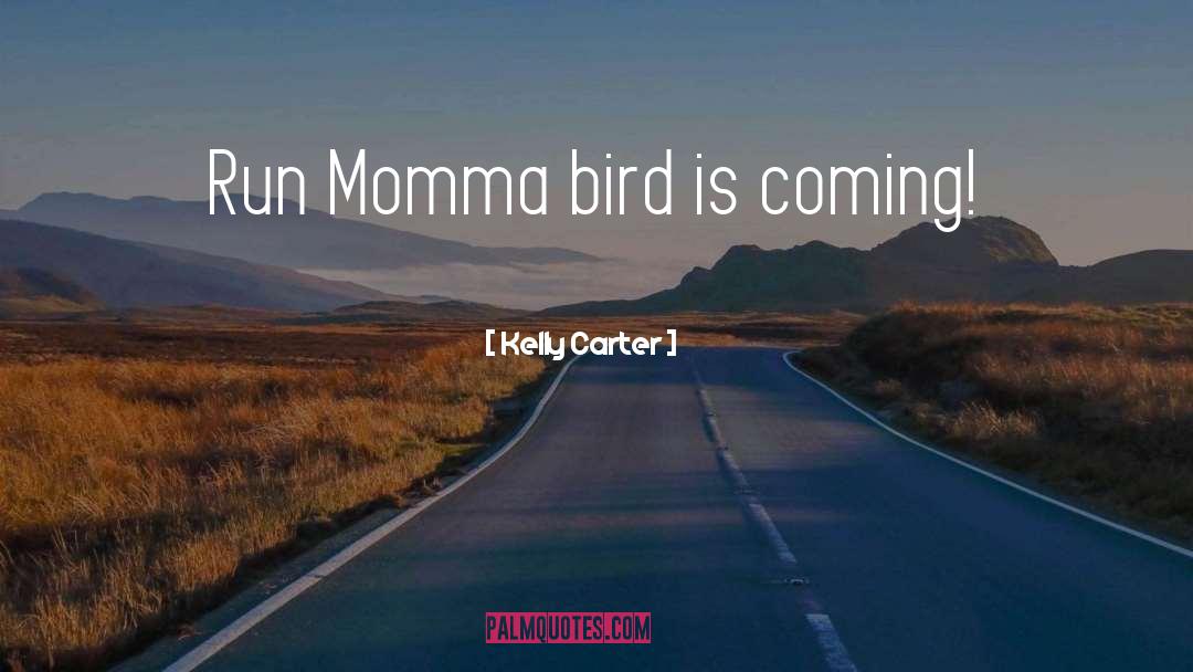 Kelly Carter Quotes: Run Momma bird is coming!