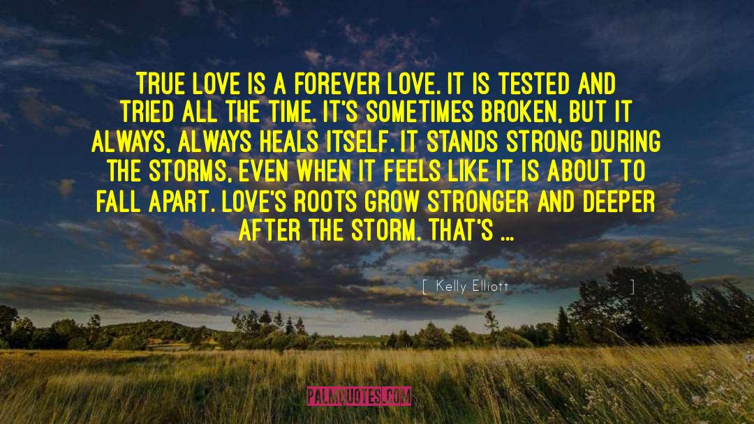 Kelly Elliott Quotes: True love is a forever